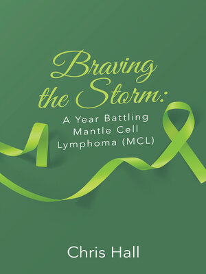cover image of Braving the Storm